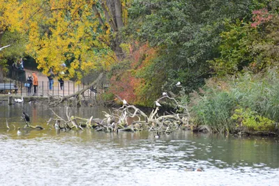 DSC_0559 (Large).JPG